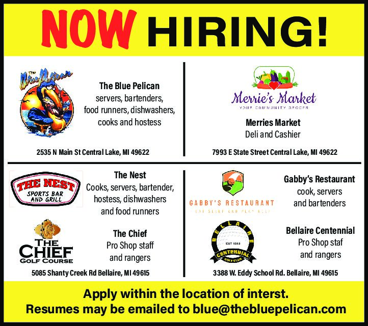 Blue Pelican - Pelican Family Now Hiring (1)